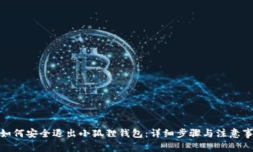 : 如何安全退出小狐狸钱包：详细步骤与注意事项